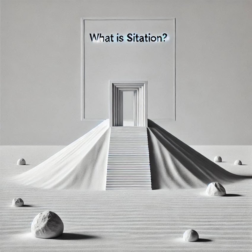 سایتیشن چیست؟ 1